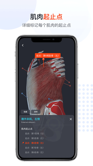 口袋人体解剖app5