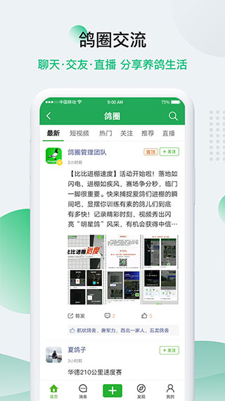 中国信鸽信息网app最新版2
