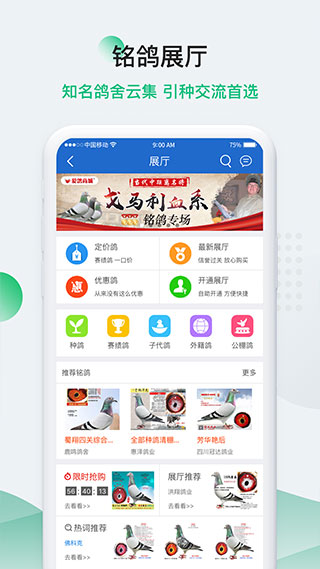 中国信鸽信息网app最新版3