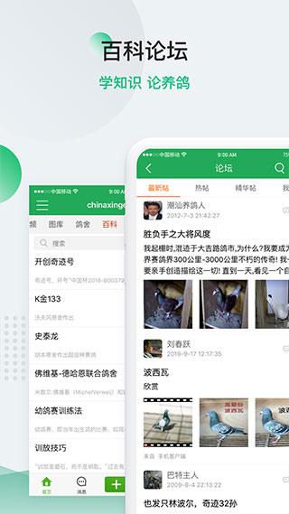 中国信鸽信息网app最新版5