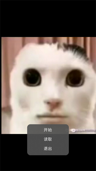 亲吻猫咪猫猫惊魂3