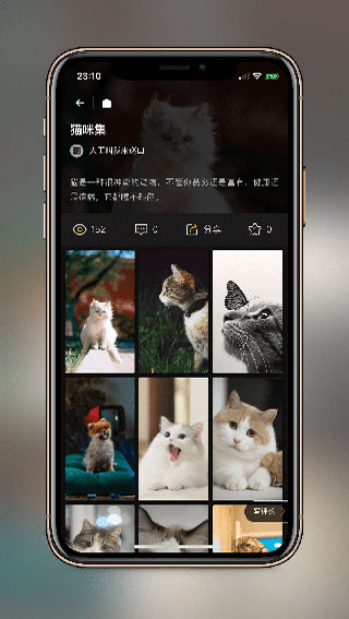 纸塘壁纸app4