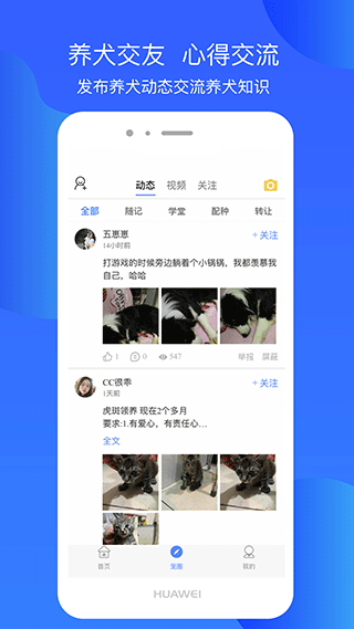 犬卫士app4