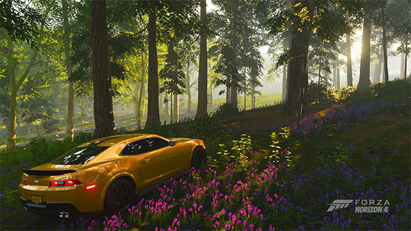 ForzaHorizon4手机版3