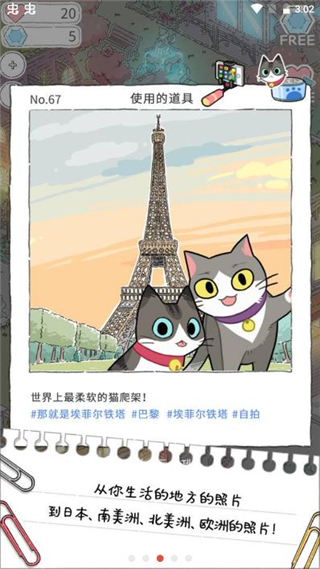 猫友圈猫咪的旅行2