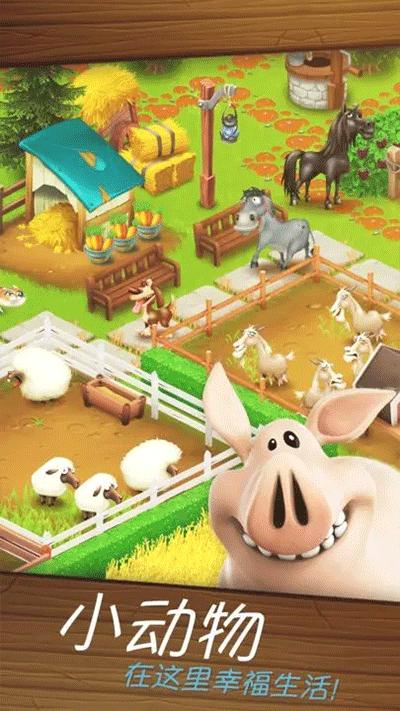 卡通农场2023最新版本(hay day)1