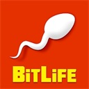 bitlife最新版2023v5.80