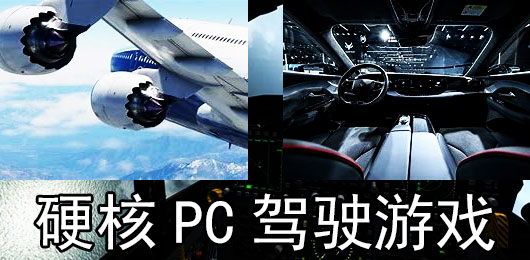 硬核PC驾驶游戏